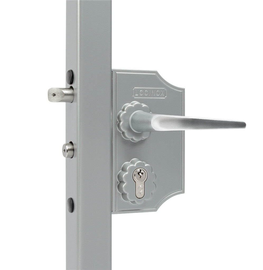 Locinox ant pavirsiaus montuojama didesne ornamentine spyna.