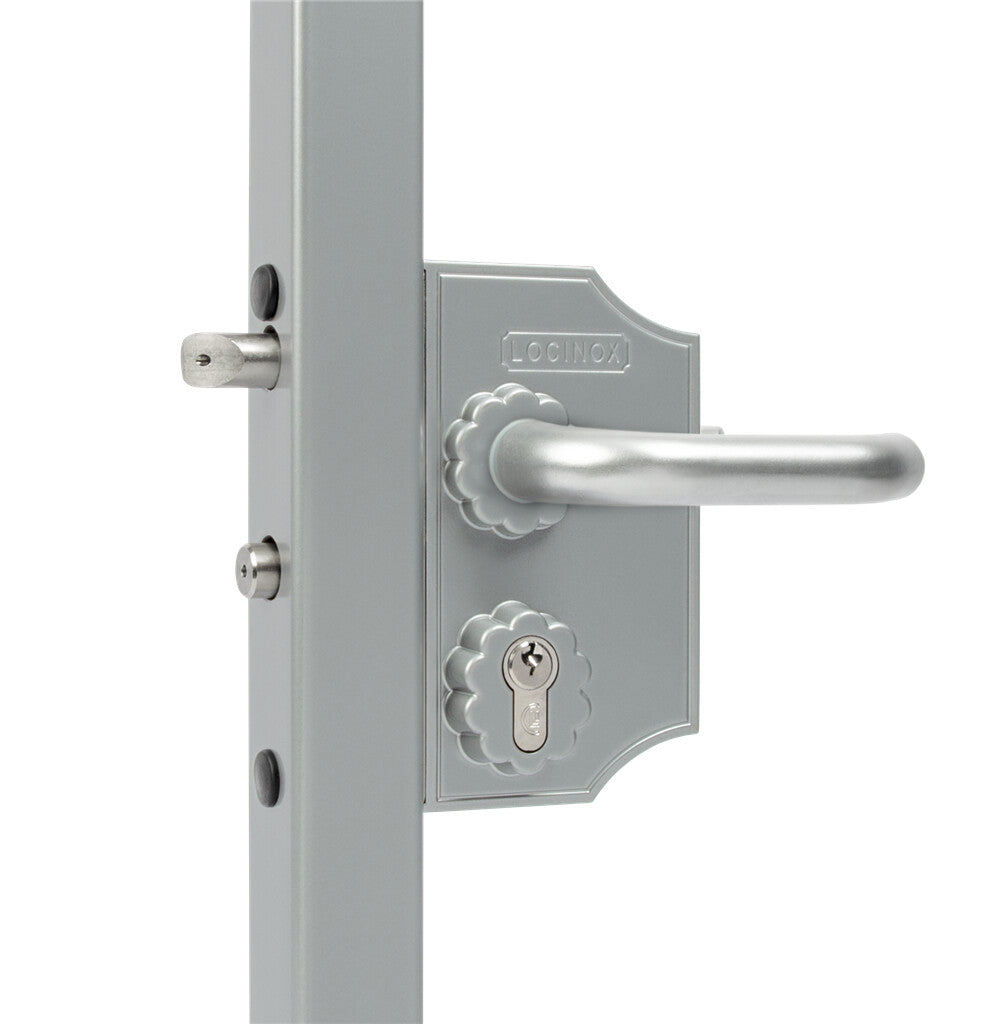 Locinox ant pavirsiaus montuojama didesne ornamentine spyna.