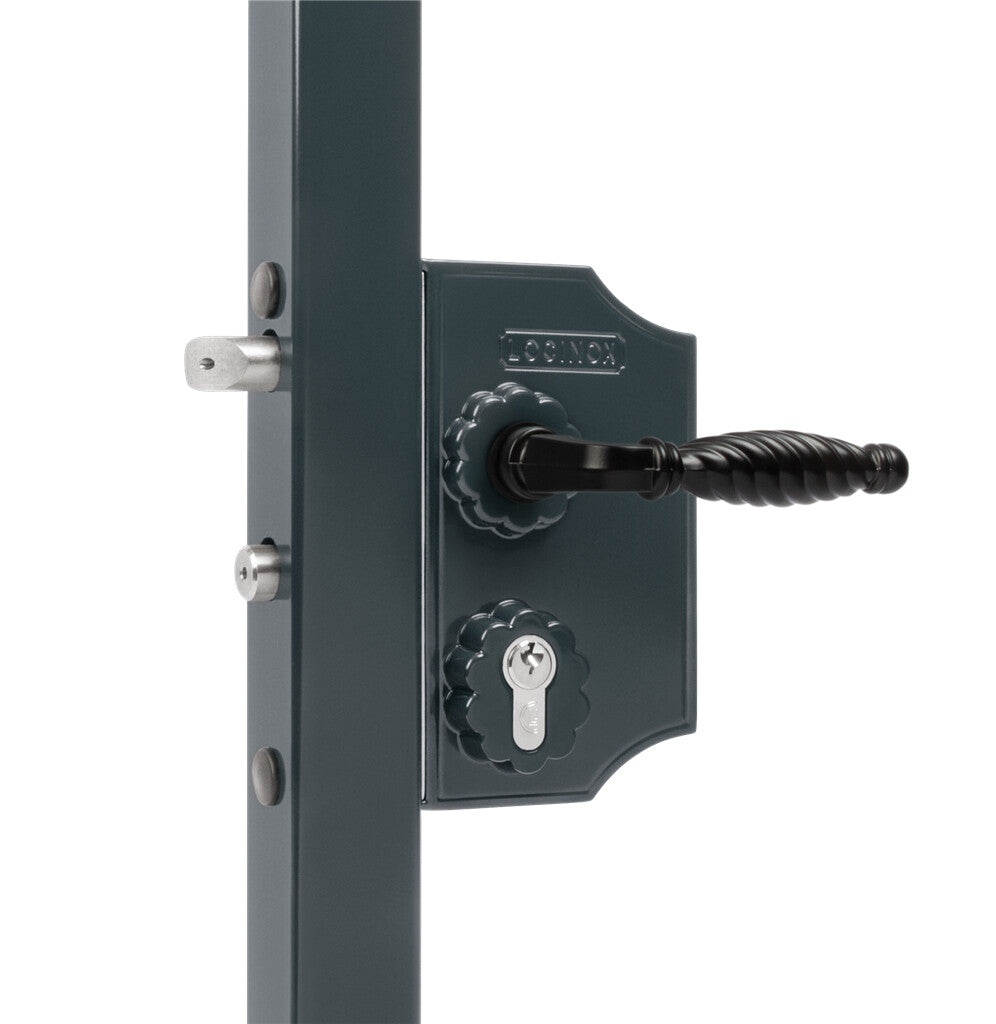 Locinox ant pavirsiaus montuojama didesne ornamentine spyna.