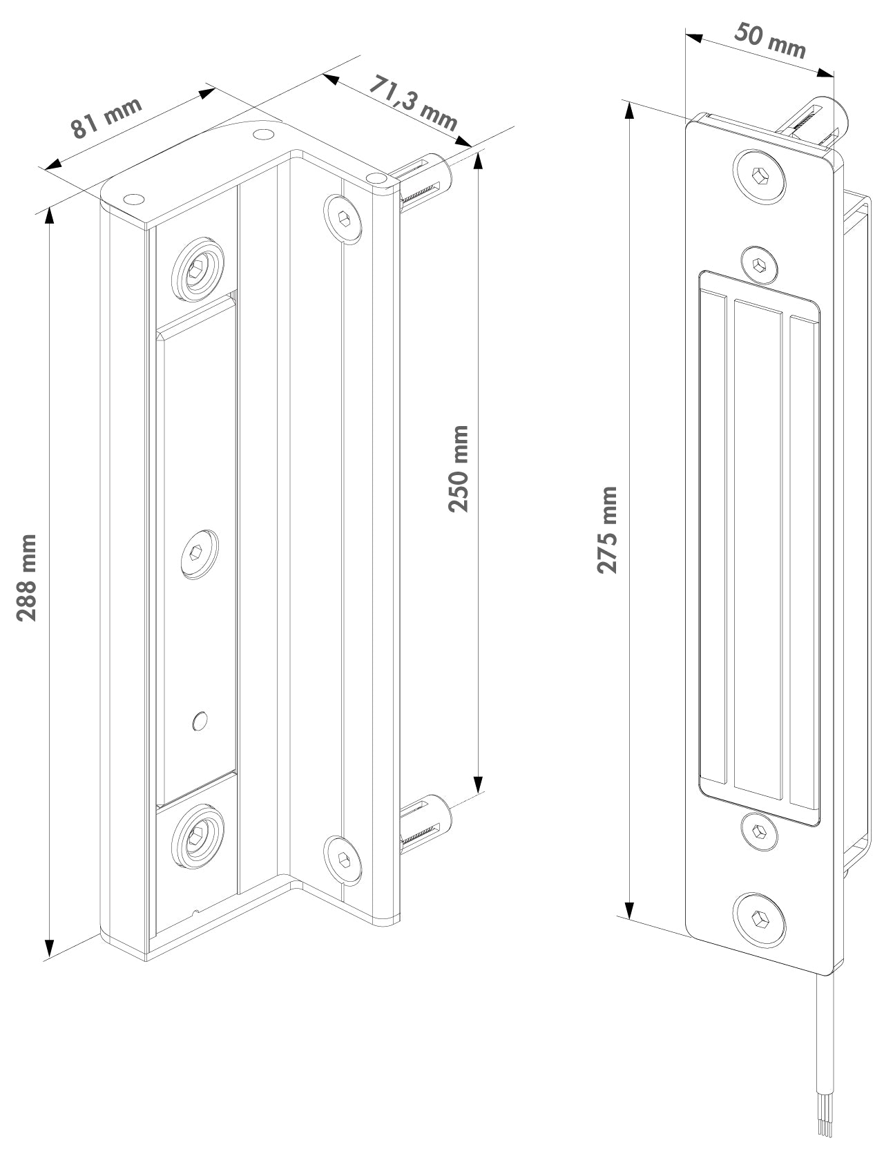 Locinox imontuojama elektromagnetine spyna atveriamiems vartams.